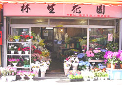 林生花店